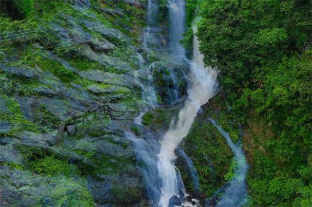 虫虫助手下载
